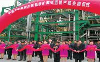 2000-2005年，采用意大利欧技工艺技术，相继建成了三套三聚氰胺生产装置，年产能5.4万吨